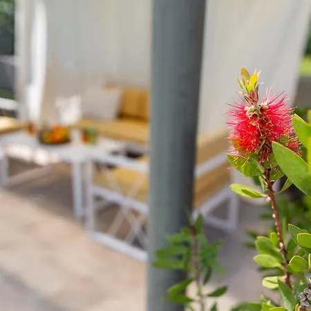 Superior With Private Pool * Pula