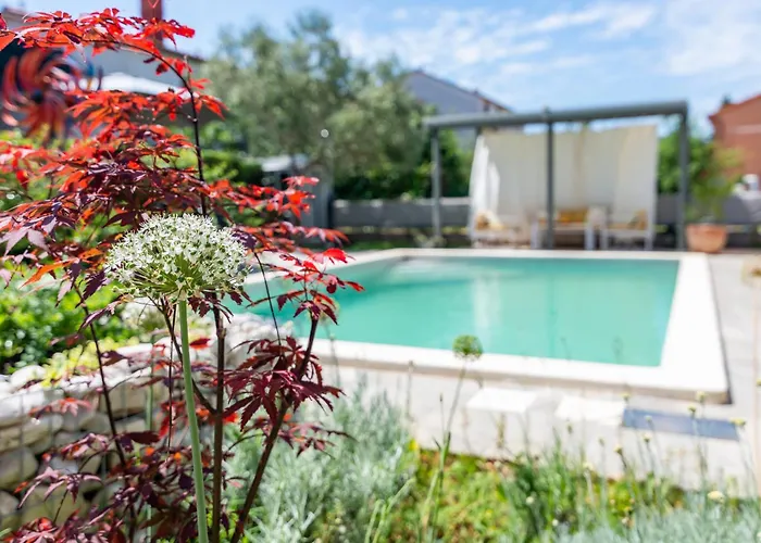 Lägenhet Superior Apartment With Private Pool Pula