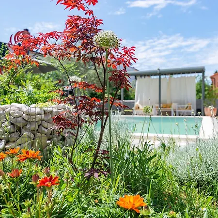 Apartament Superior With Private Pool